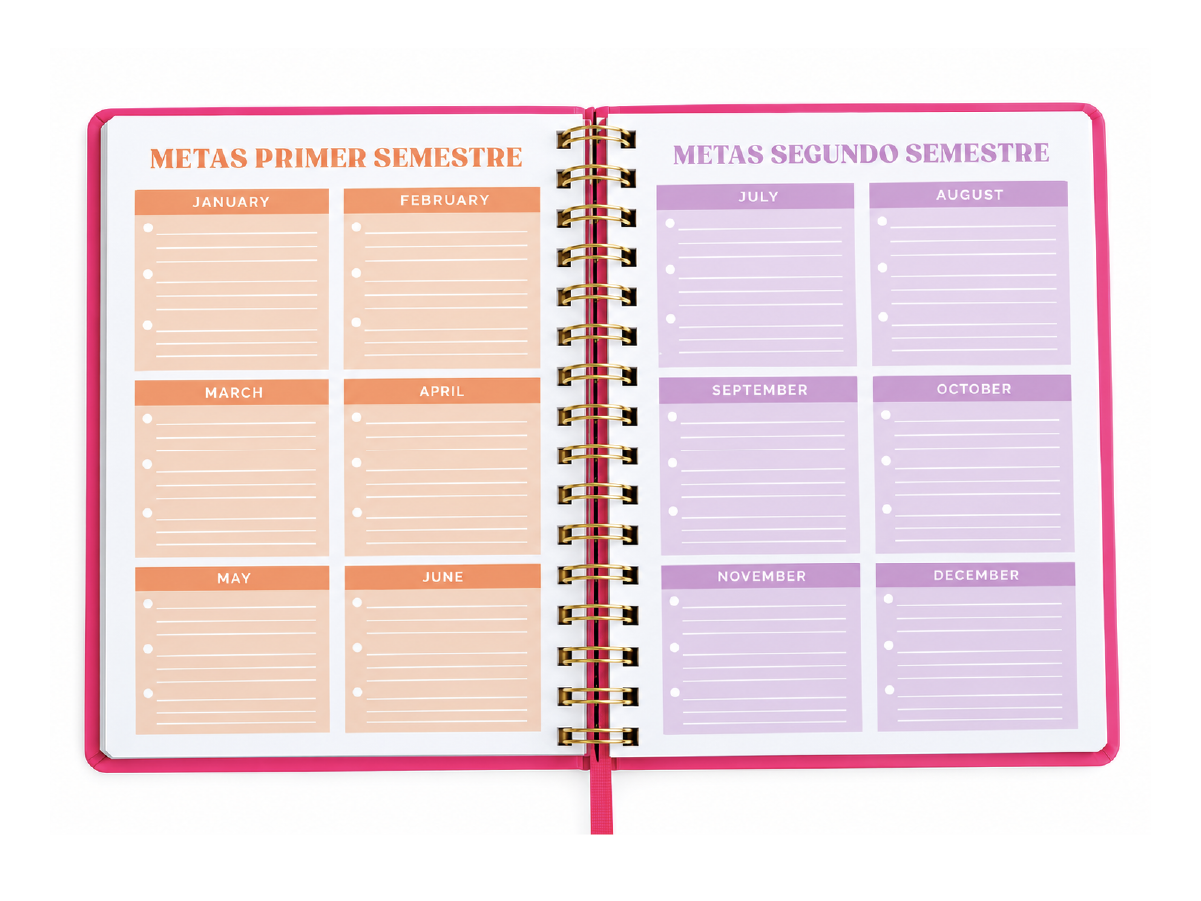 Papelería — metas semestrales